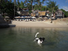 Thong Nai Pan Noi
