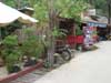 Thong Nai Pan Noi