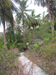 Sai Nuan Beach
