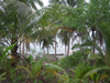 Sai Nuan Beach
