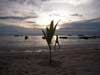 Sairee Beach
