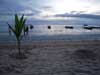 Sairee Beach