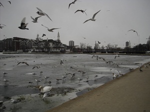 Kopenhagen
