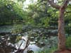 Sigiriya