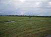 Kaudulla Nationalpark