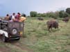 Kaudulla Nationalpark