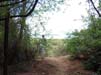 Primate Center Lodge