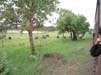 Primate Center Lodge