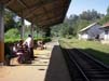 Zugfahrt von Ella nach Hatton