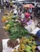 Negombo